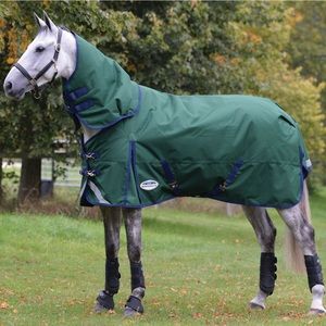 COPY - COPY - Weatherbeeta horse blanket.